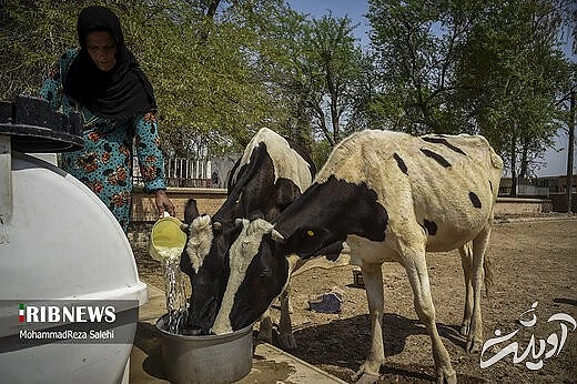 آبرسانی تانکرهای ارتش به روستاهای دشت آزادگان اهواز